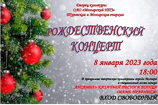 Туровская епархия приглашает посетить Рождественский концерт!